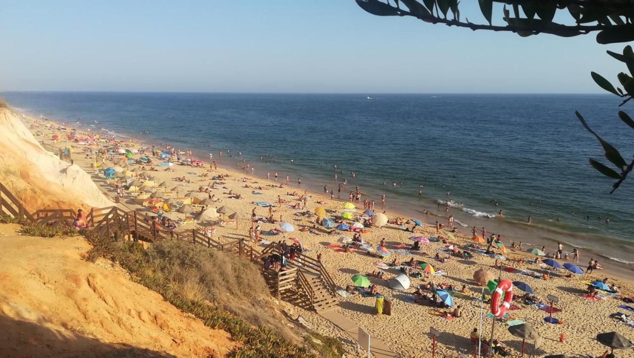אלבופיירה Beach Falesia מראה חיצוני תמונה